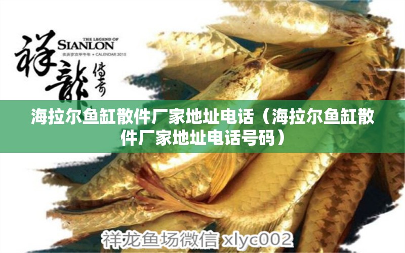 海拉爾魚(yú)缸散件廠家地址電話（海拉爾魚(yú)缸散件廠家地址電話號(hào)碼） 觀賞魚(yú)