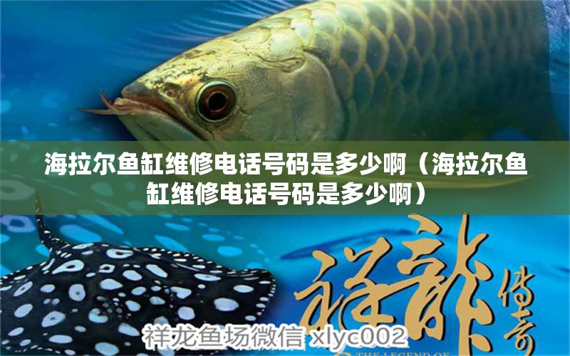 海拉爾魚(yú)缸維修電話號(hào)碼是多少啊（海拉爾魚(yú)缸維修電話號(hào)碼是多少?。? title=