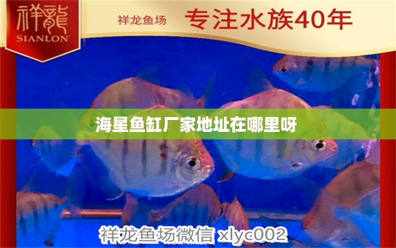 海星魚缸廠家地址在哪里呀 