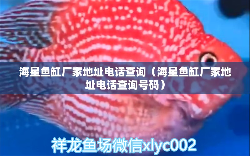 海星魚缸廠家地址電話查詢（海星魚缸廠家地址電話查詢號(hào)碼）