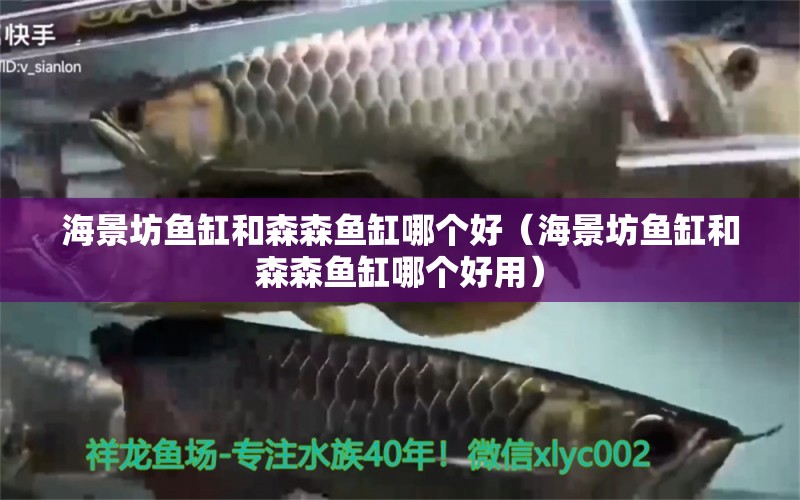 海景坊魚缸和森森魚缸哪個好（海景坊魚缸和森森魚缸哪個好用）