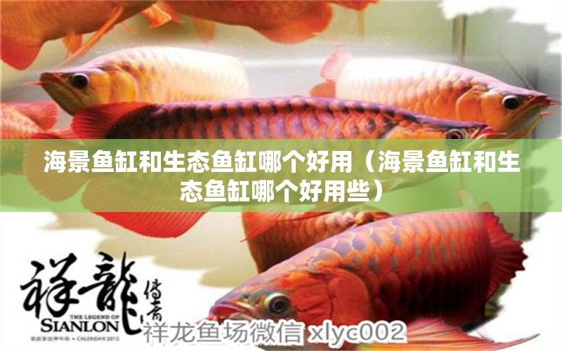 海景魚缸和生態(tài)魚缸哪個好用（海景魚缸和生態(tài)魚缸哪個好用些） 觀賞魚市場（混養(yǎng)魚）