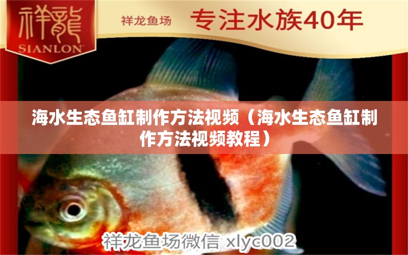 海水生態(tài)魚缸制作方法視頻（海水生態(tài)魚缸制作方法視頻教程） 月光鴨嘴魚苗