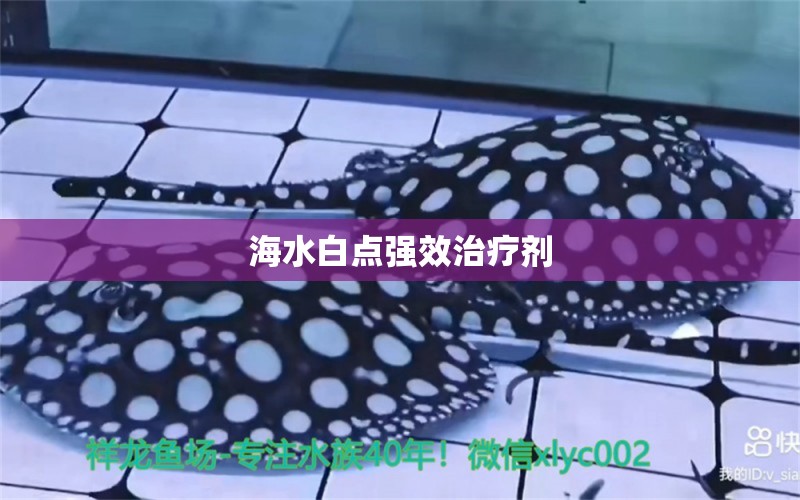 海水白點強效治療劑