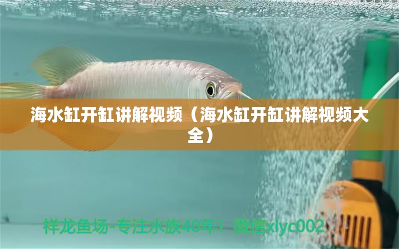 海水缸開缸講解視頻（海水缸開缸講解視頻大全） 觀賞魚市場(chǎng)（混養(yǎng)魚）