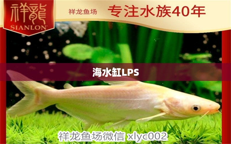 海水缸LPS 祥龍龍魚魚糧 第1張