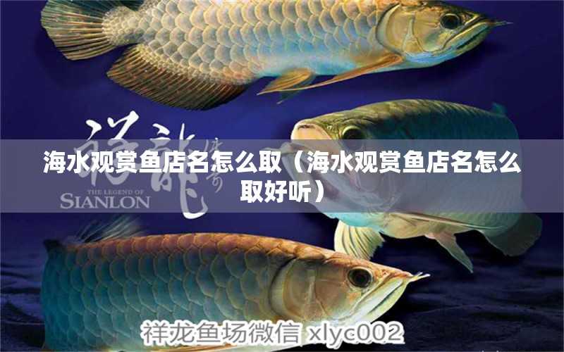 海水觀賞魚店名怎么取（海水觀賞魚店名怎么取好聽）