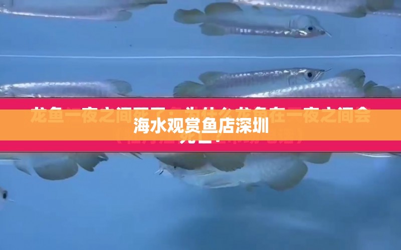 海水觀賞魚(yú)店深圳 水族問(wèn)答