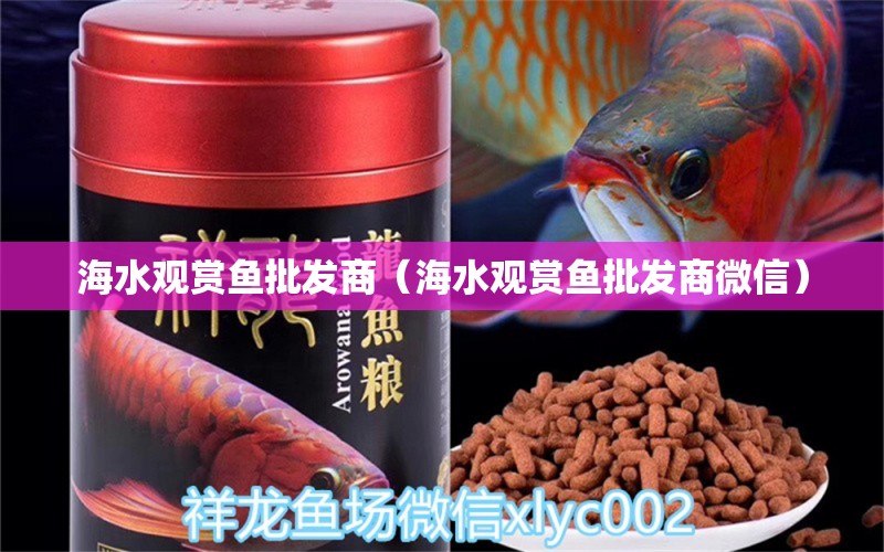 海水觀賞魚批發(fā)商（海水觀賞魚批發(fā)商微信） 觀賞魚批發(fā)