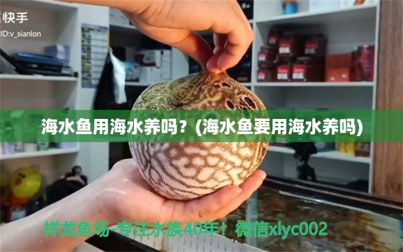 海水魚用海水養(yǎng)嗎？(海水魚要用海水養(yǎng)嗎) 海水魚