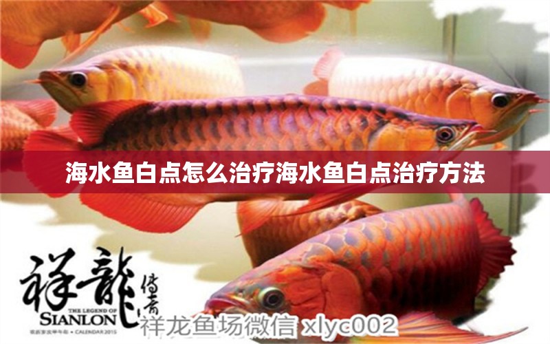 海水魚白點怎么治療海水魚白點治療方法 海水魚 第1張