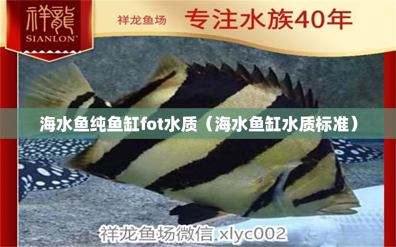 海水魚純魚缸fot水質(zhì)（海水魚缸水質(zhì)標(biāo)準(zhǔn)）