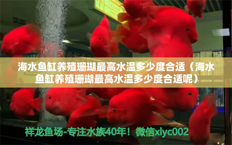 海水魚缸養(yǎng)殖珊瑚最高水溫多少度合適（海水魚缸養(yǎng)殖珊瑚最高水溫多少度合適呢） 海水魚