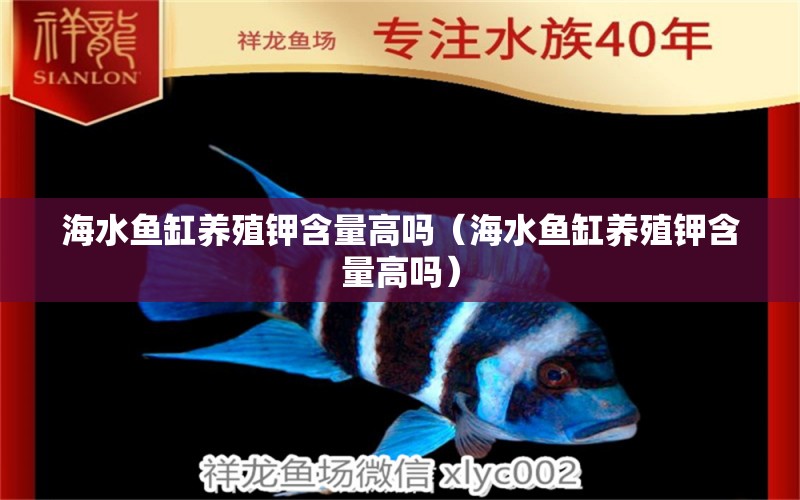 海水魚缸養(yǎng)殖鉀含量高嗎（海水魚缸養(yǎng)殖鉀含量高嗎） 海水魚