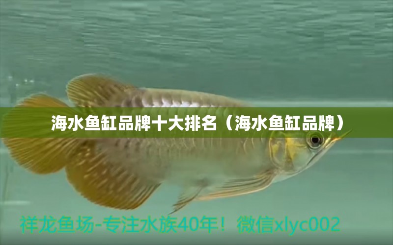 海水魚缸品牌十大排名（海水魚缸品牌）