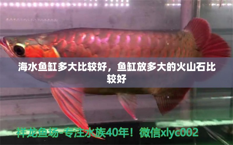 海水魚缸多大比較好，魚缸放多大的火山石比較好 海水魚 第1張