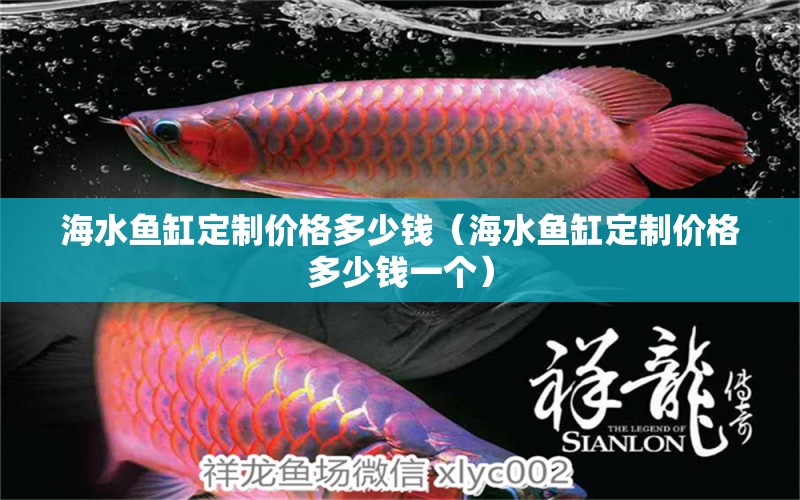 海水魚缸定制價格多少錢（海水魚缸定制價格多少錢一個）