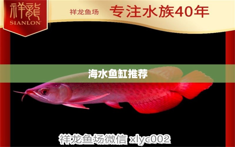 海水魚缸推薦