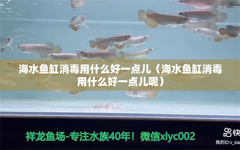 海水魚缸消毒用什么好一點(diǎn)兒（海水魚缸消毒用什么好一點(diǎn)兒呢）