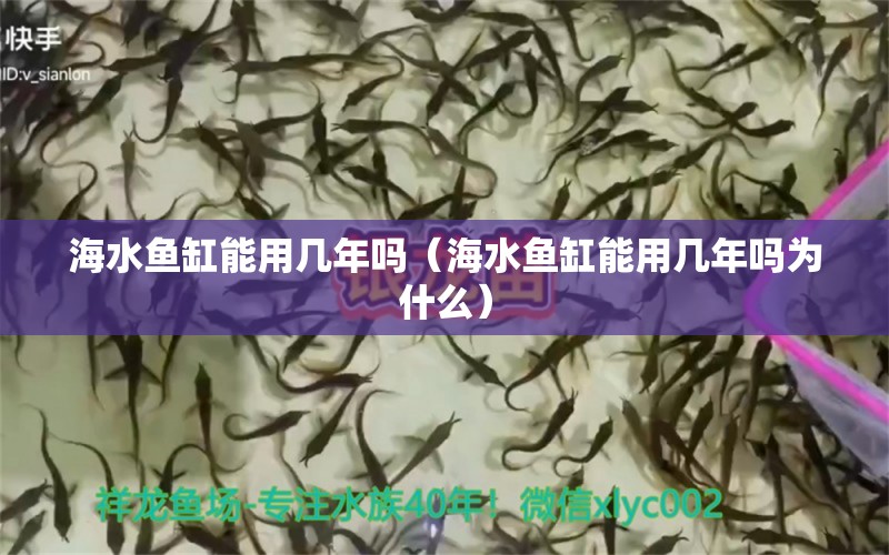 海水魚缸能用幾年嗎（海水魚缸能用幾年嗎為什么） 海水魚