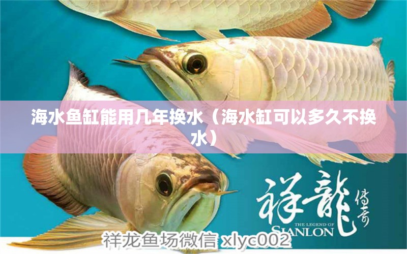 海水魚(yú)缸能用幾年換水（海水缸可以多久不換水） 夢(mèng)幻雷龍魚(yú)