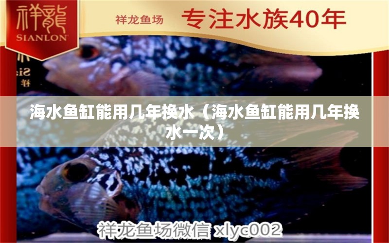 海水魚缸能用幾年換水（海水魚缸能用幾年換水一次） 觀賞魚批發(fā)