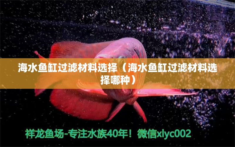 海水魚缸過濾材料選擇（海水魚缸過濾材料選擇哪種）