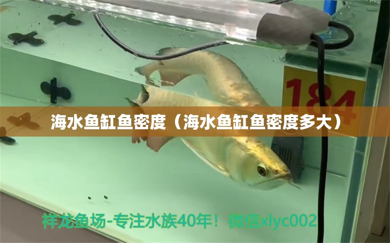 海水魚缸魚密度（海水魚缸魚密度多大）