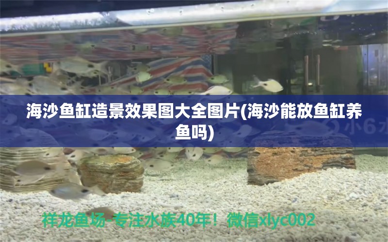 海沙魚(yú)缸造景效果圖大全圖片(海沙能放魚(yú)缸養(yǎng)魚(yú)嗎) 白化火箭 第1張