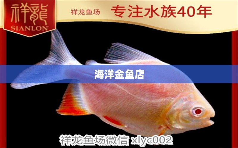 海洋金魚店 全國水族館企業(yè)名錄