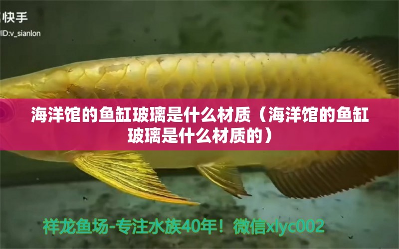 海洋館的魚缸玻璃是什么材質(zhì)（海洋館的魚缸玻璃是什么材質(zhì)的） 其他品牌魚缸