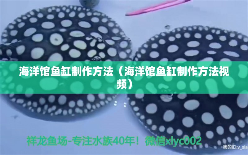 海洋館魚(yú)缸制作方法（海洋館魚(yú)缸制作方法視頻）