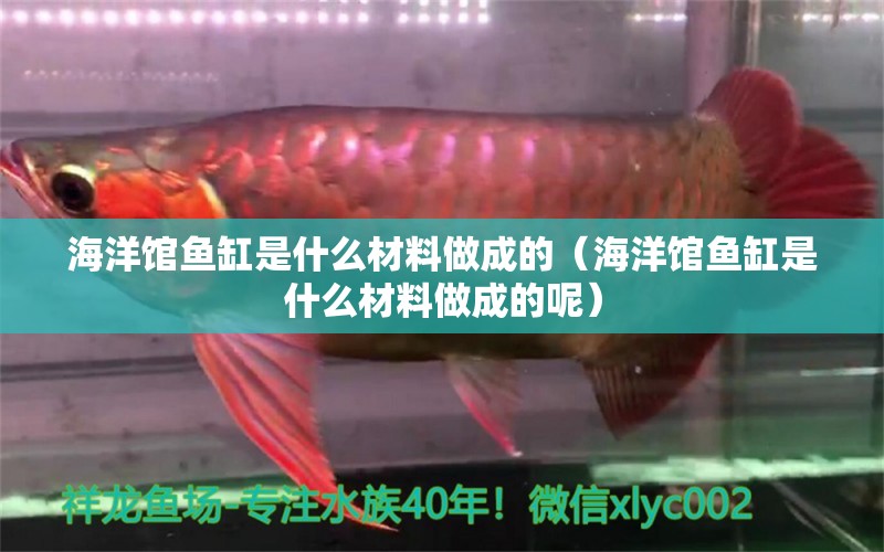 海洋館魚缸是什么材料做成的（海洋館魚缸是什么材料做成的呢） 其他品牌魚缸