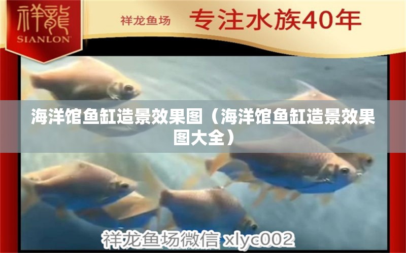 海洋館魚缸造景效果圖（海洋館魚缸造景效果圖大全） 其他品牌魚缸