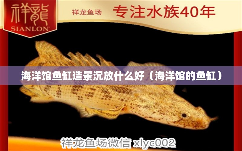 海洋館魚缸造景沉放什么好（海洋館的魚缸） 其他品牌魚缸