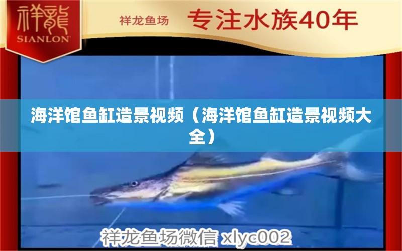 海洋館魚缸造景視頻（海洋館魚缸造景視頻大全） 其他品牌魚缸