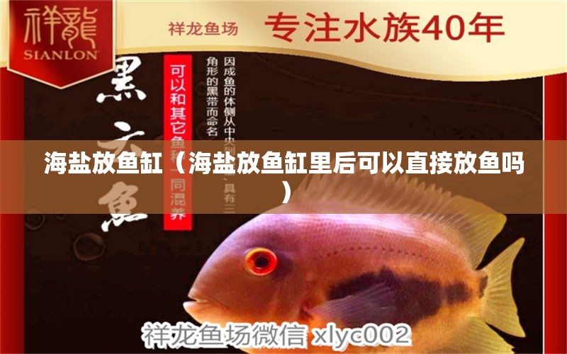 海鹽放魚缸（海鹽放魚缸里后可以直接放魚嗎）