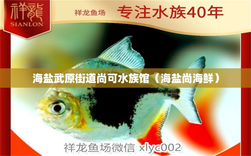 海鹽武原街道尚可水族館（海鹽尚海鮮） 全國(guó)水族館企業(yè)名錄