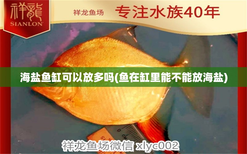 海鹽魚(yú)缸可以放多嗎(魚(yú)在缸里能不能放海鹽) 古典過(guò)背金龍魚(yú)