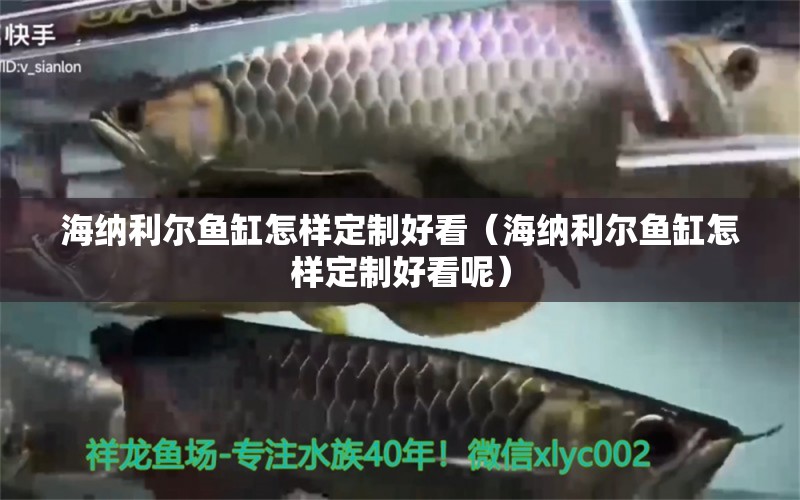 海納利爾魚缸怎樣定制好看（海納利爾魚缸怎樣定制好看呢） 過背金龍魚