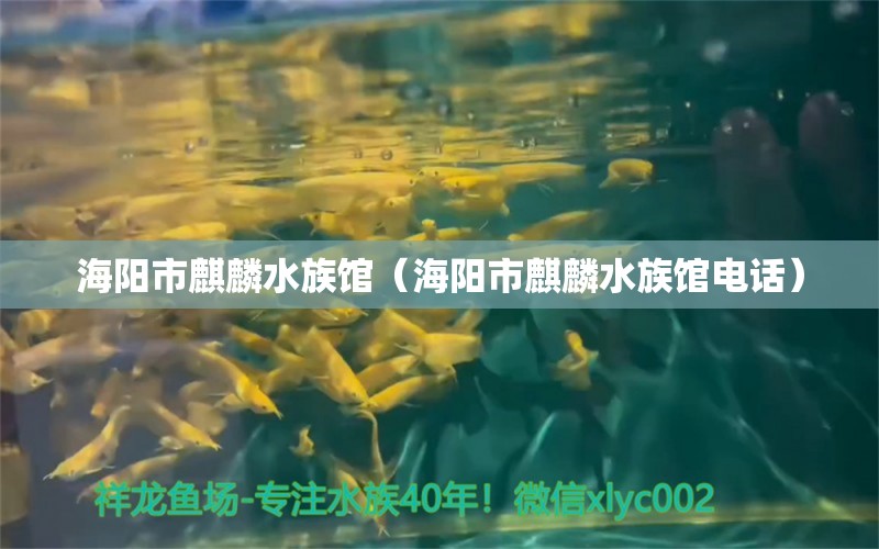 海陽(yáng)市麒麟水族館（海陽(yáng)市麒麟水族館電話）