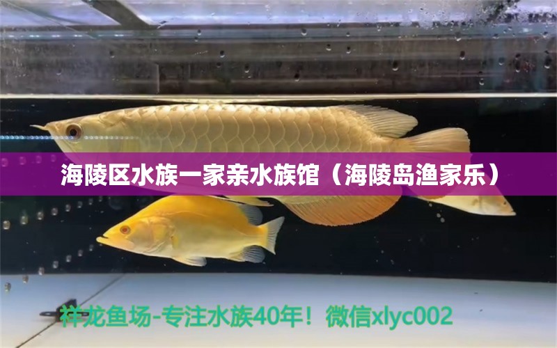 海陵區(qū)水族一家親水族館（海陵島漁家樂） 全國水族館企業(yè)名錄