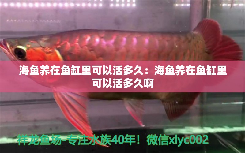 海魚(yú)養(yǎng)在魚(yú)缸里可以活多久：海魚(yú)養(yǎng)在魚(yú)缸里可以活多久啊 觀賞魚(yú)市場(chǎng)（混養(yǎng)魚(yú)）