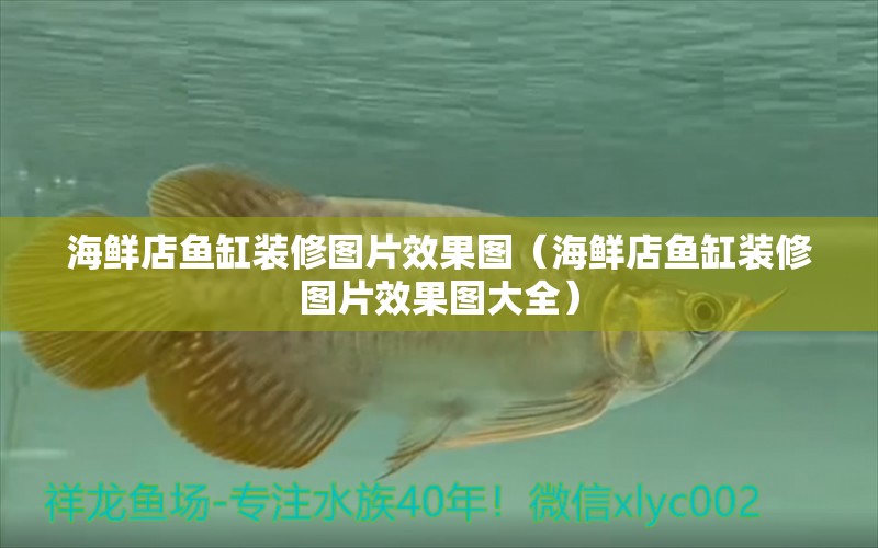 海鮮店魚缸裝修圖片效果圖（海鮮店魚缸裝修圖片效果圖大全） 量子養(yǎng)魚技術(shù)