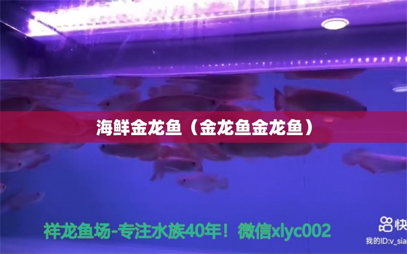 海鮮金龍魚（金龍魚金龍魚） 大湖紅龍魚