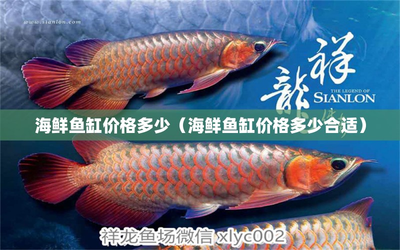 海鮮魚缸價格多少（海鮮魚缸價格多少合適）