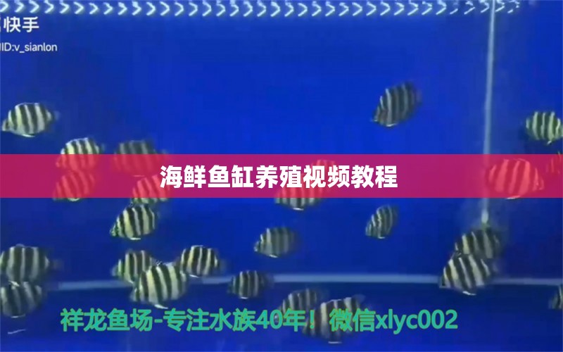 海鮮魚缸養(yǎng)殖視頻教程  潛水泵