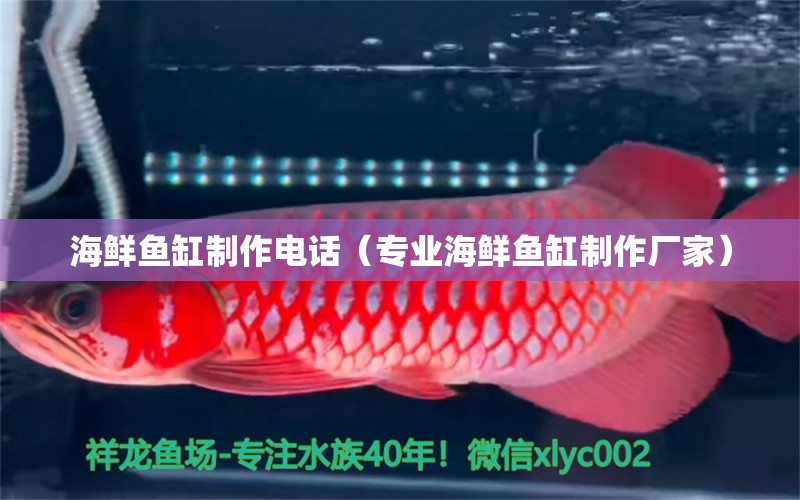 海鮮魚缸制作電話（專業(yè)海鮮魚缸制作廠家）