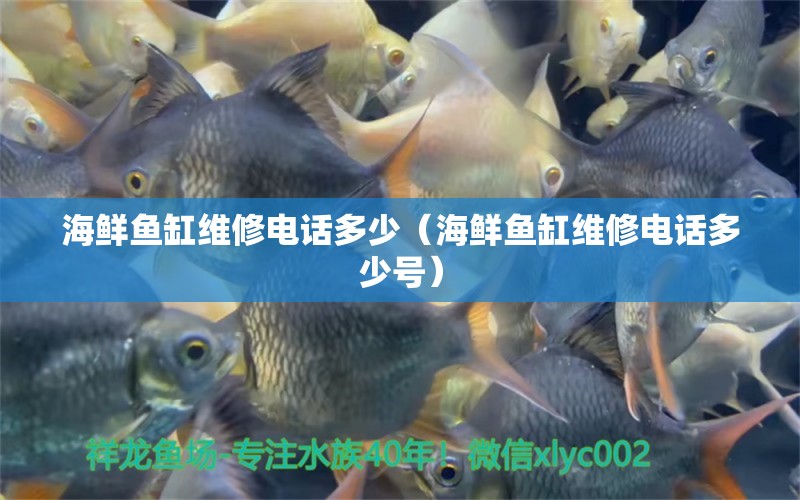 海鮮魚缸維修電話多少（海鮮魚缸維修電話多少號(hào)）