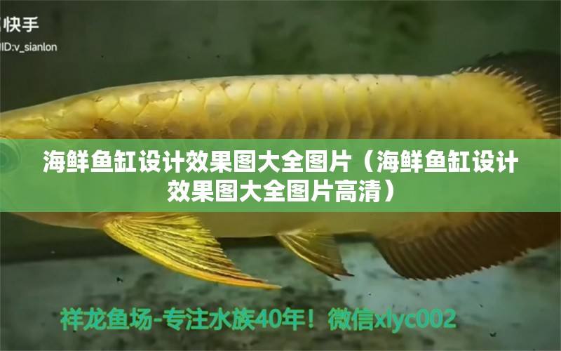 海鮮魚缸設(shè)計效果圖大全圖片（海鮮魚缸設(shè)計效果圖大全圖片高清） 觀賞魚市場（混養(yǎng)魚）